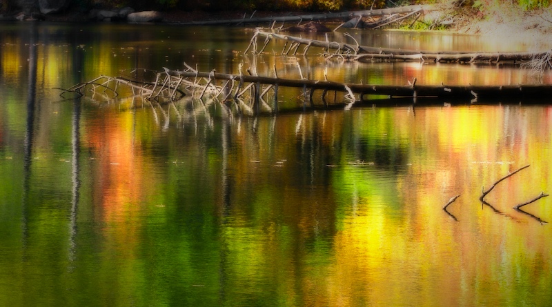 pond_abstract.jpg