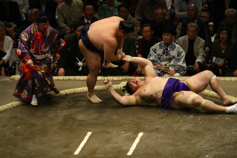 sumo_4.jpg