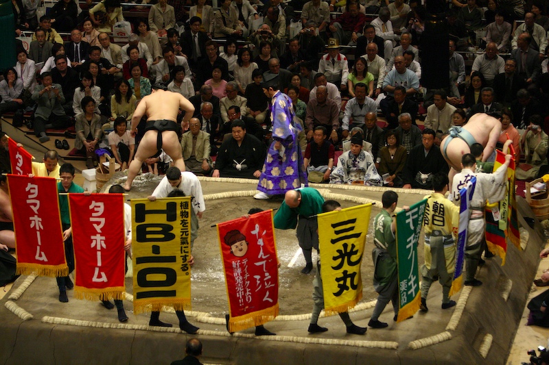 sumo_6.jpg