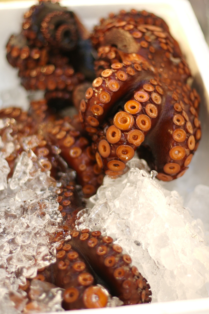 tsukiji_octopus_1.jpg