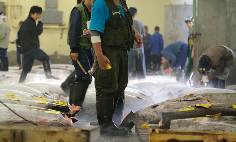 tsukiji_tuna_1.jpg