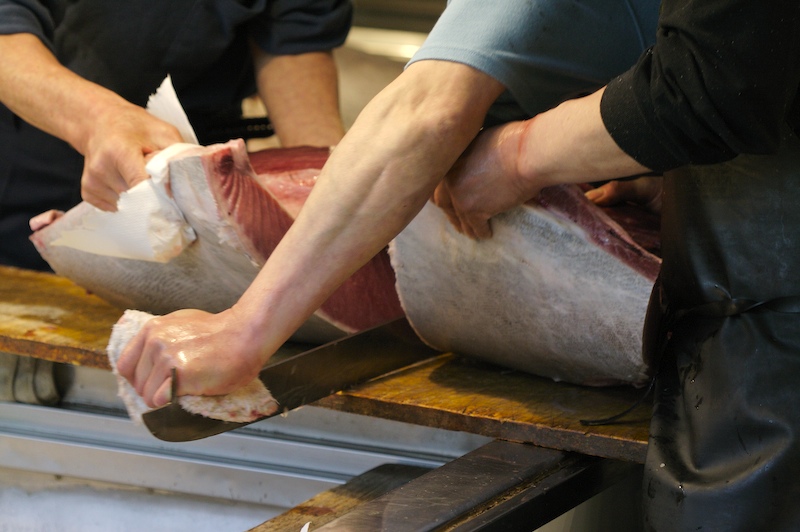 tsukiji_tuna_3.jpg